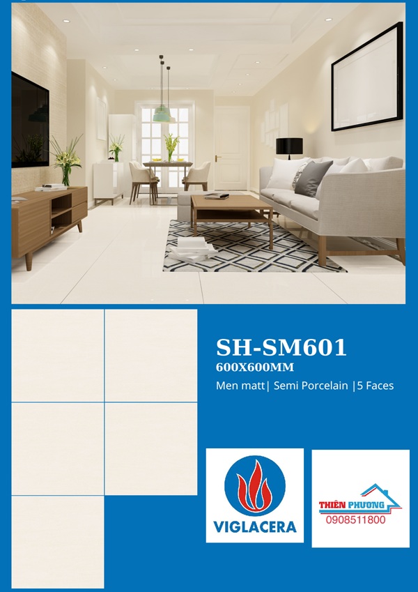 VIGLACERA - 60x60 (3)