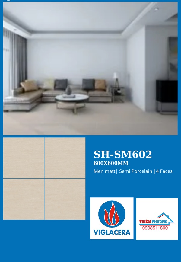 VIGLACERA - 60x60 (4)
